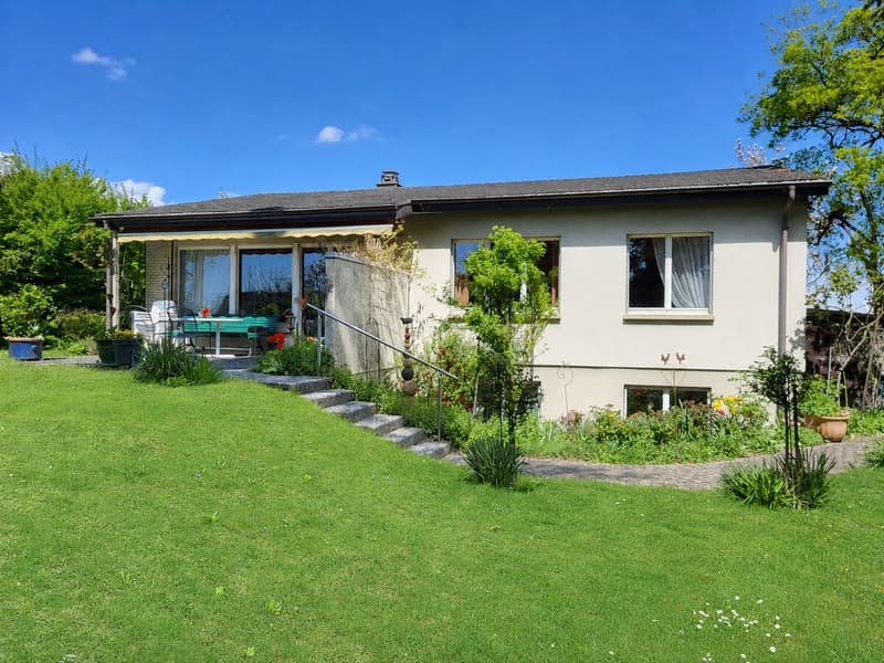 Bild Haus Lauener Titel