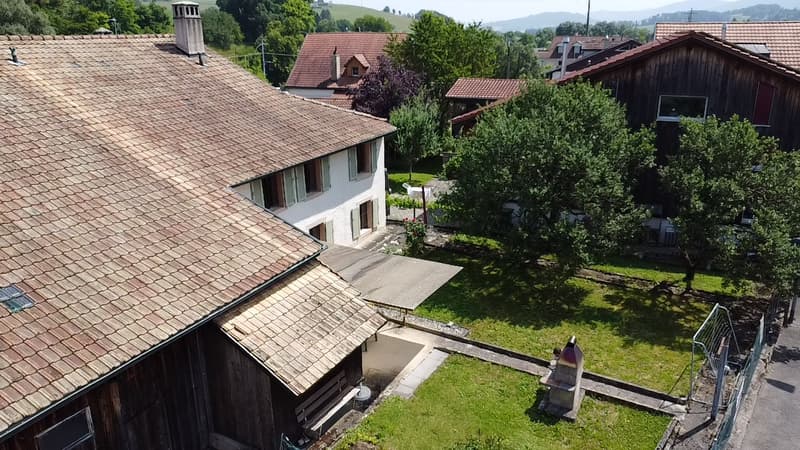 House with great potential? Ideal for DIY enthusiast or investor (5)