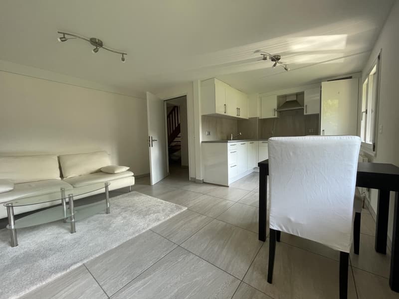 Close to Basel, fully renovated rental property with 6 apartments and 7 parking spaces, no vacancies. (10)