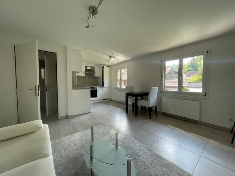 Close to Basel, fully renovated rental property with 6 apartments and 7 parking spaces, no vacancies. (12)