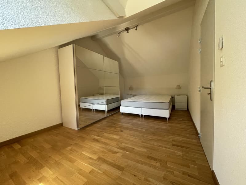 Close to Basel, fully renovated rental property with 6 apartments and 7 parking spaces, no vacancies. (9)