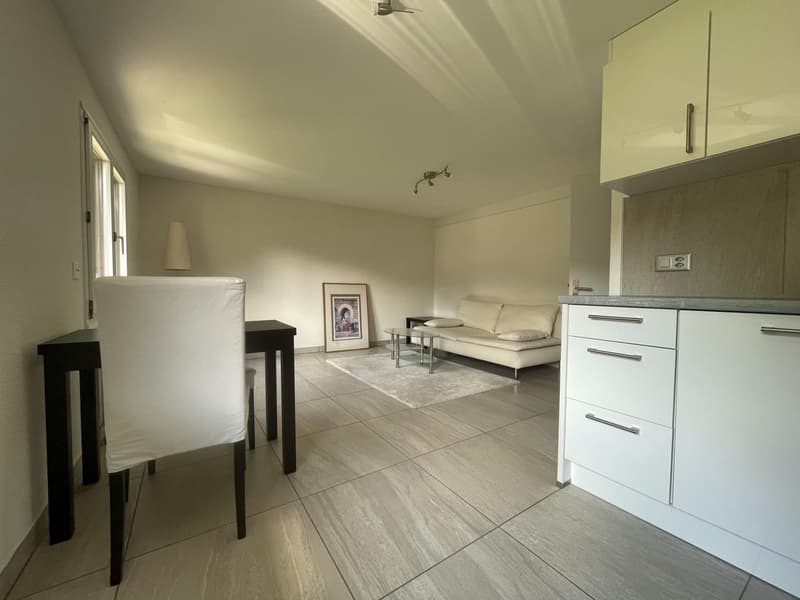 Close to Basel, fully renovated rental property with 6 apartments and 7 parking spaces, no vacancies. (11)