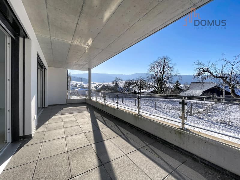 Spacieux appartement moderne avec grande terrasse dans immeuble récent (6)