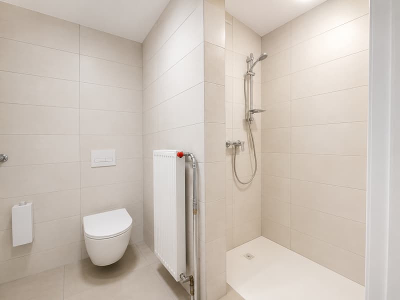Magnificent 4,5 rooms completely renovated with 97 m² in the heart of Rossemaison (5)