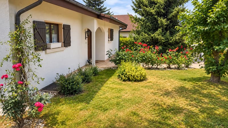 Villa individuelle avec piscine sur magnifique parcelle arborisée (5)