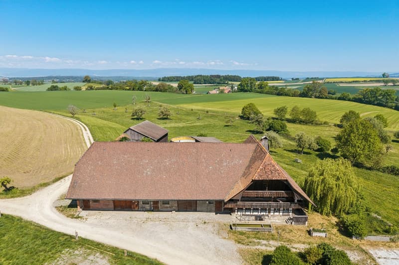 Farmhouse with large plot and development potential in Schmitten (2)