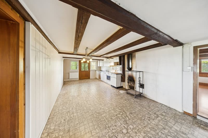 Farmhouse with large plot and development potential in Schmitten (4)