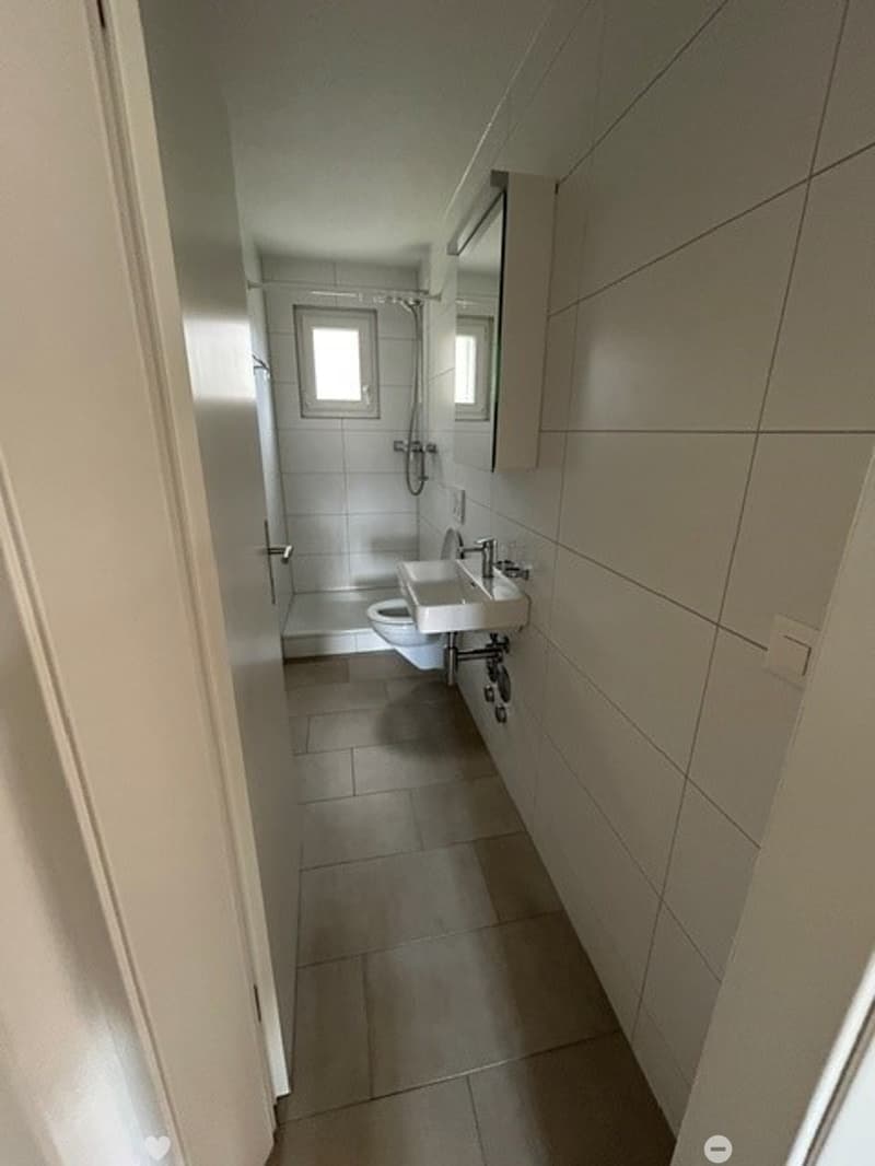 Moderne 3.5-Zimmerwohnung in charmanter Liegenschaft (4)