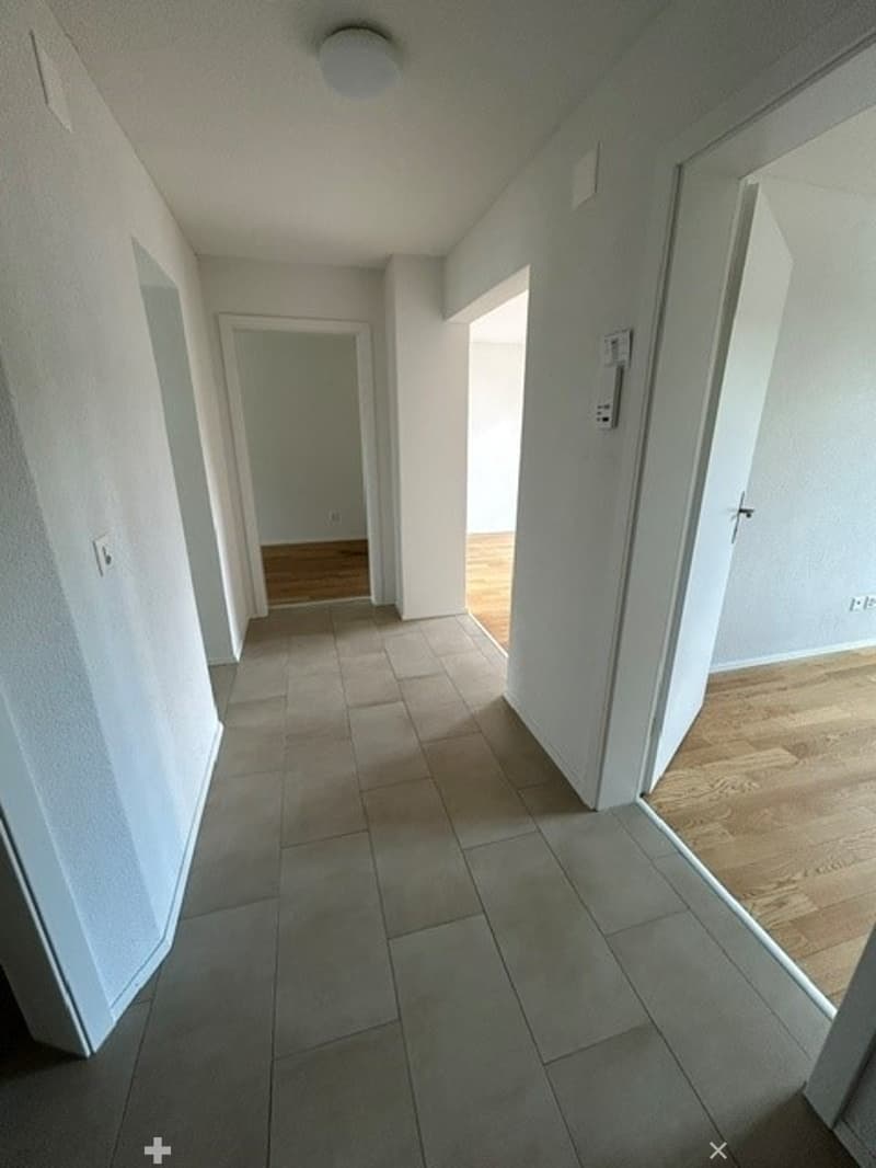 Moderne 3.5-Zimmerwohnung in charmanter Liegenschaft (5)