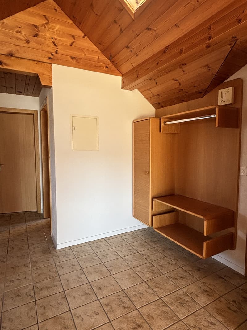 Lichtdurchflutete Dachwohnung (6)