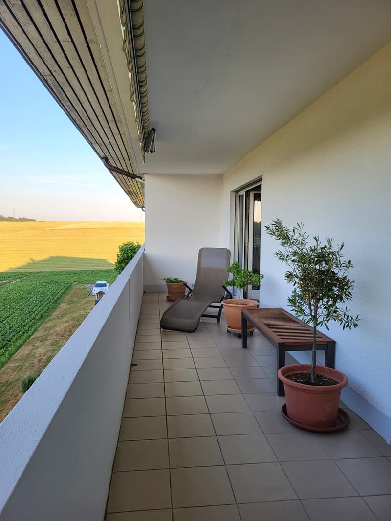 Beautiful 4.5-room apartment on the 3rd floor (6)