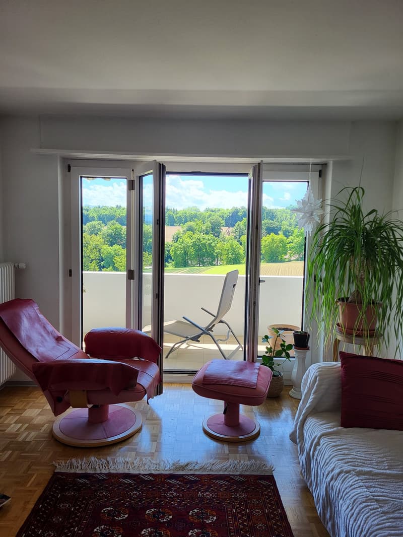 Beautiful 4.5-room apartment on the 3rd floor (3)
