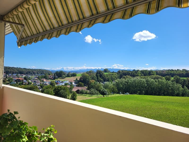 Beautiful 4.5-room apartment on the 3rd floor (8)