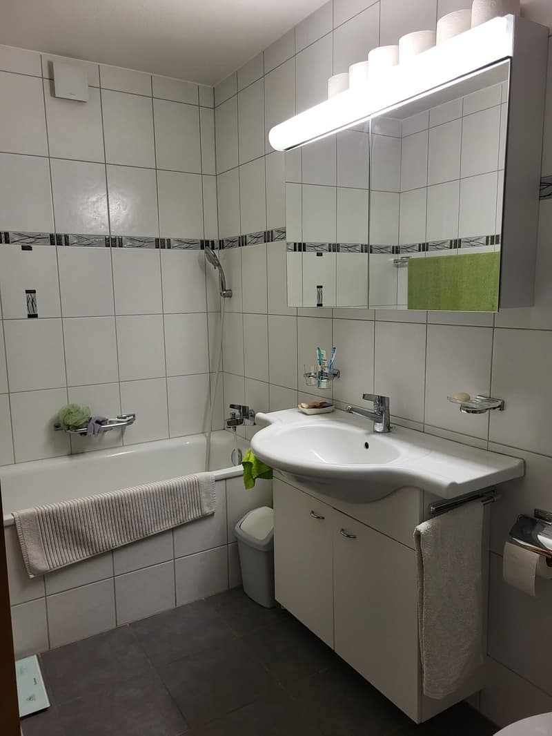 Beautiful 4.5-room apartment on the 3rd floor (4)