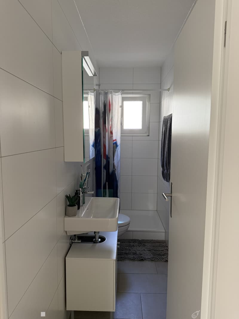 Moderne 3.5-Zimmerwohnung in charmanter Liegenschaft (4)