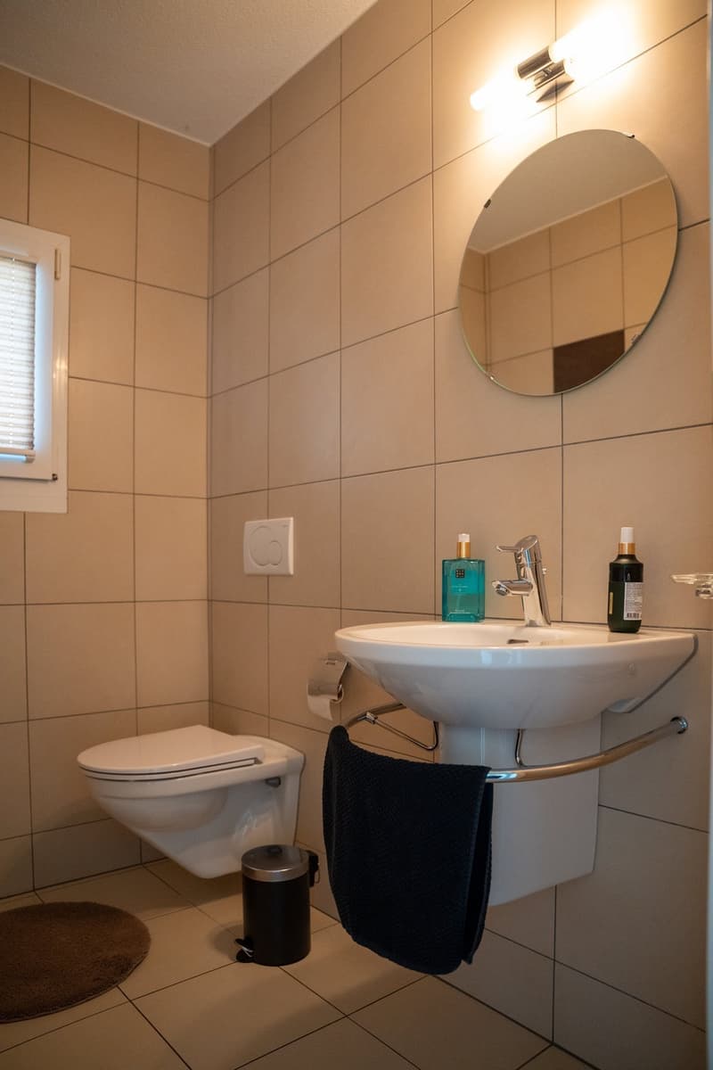 Triplex attic apartment in condominium (8)