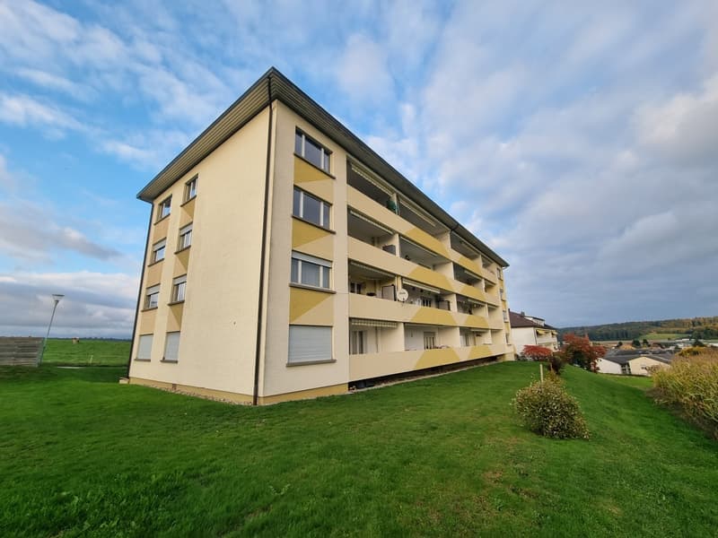 Bello appartamento di 4.5 locali al 3° piano (1)