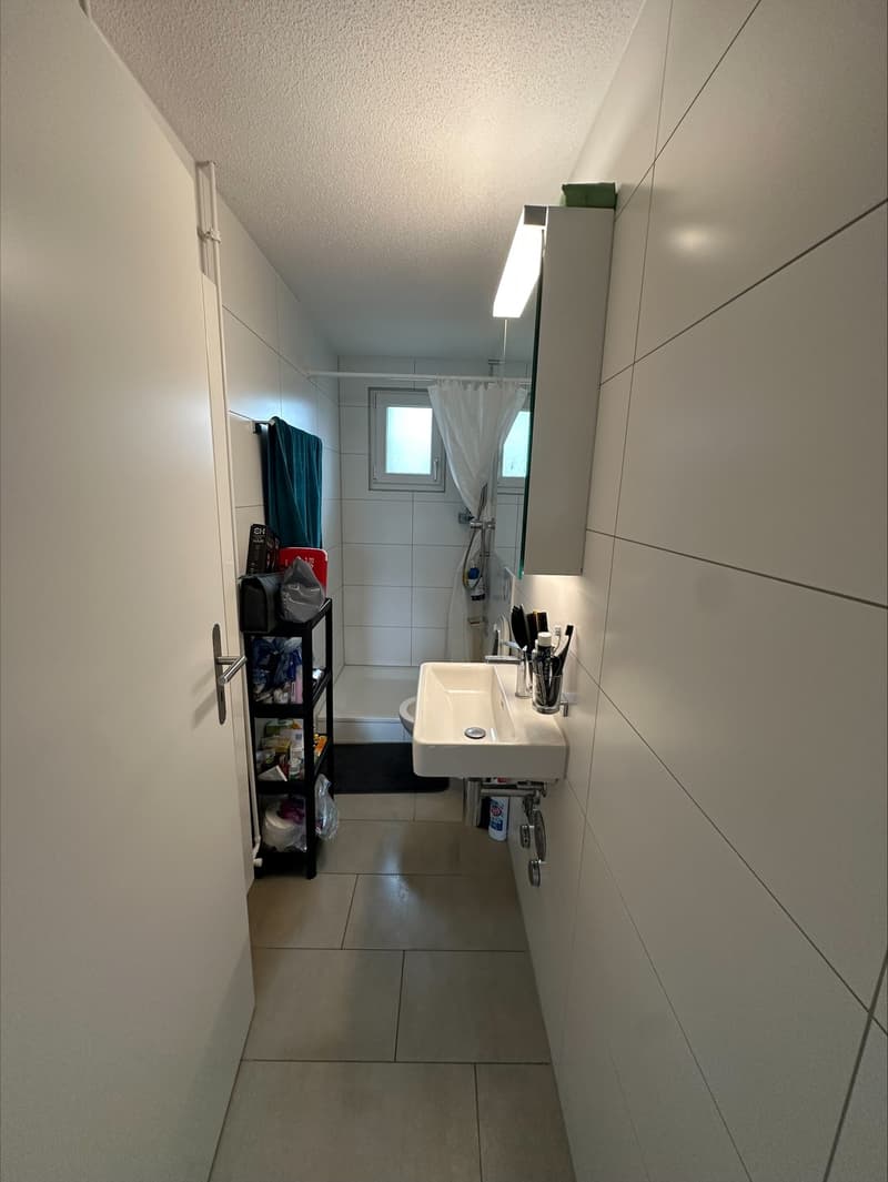 Moderne 3.5-Zimmerwohnung in charmanter Liegenschaft (5)