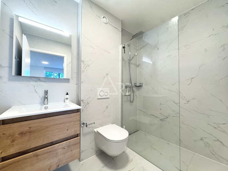 AMPIA APARTAMENTO 3.5 LOCALI CON VISTA MOZZAFIATO! (8)