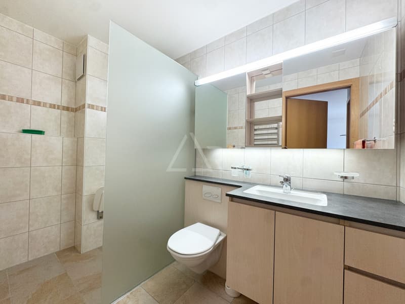 2.5 room apartment in Saillon-Bad - sold furnished with veranda (6)