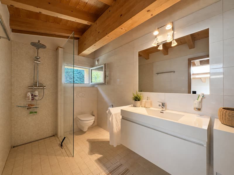 INDIVIDUAL MINERGIE VILLA WITH LARGE GARDEN IN A PEACEFUL AND SUNNY SETTING (10)