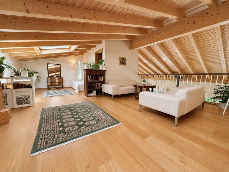 INDIVIDUAL MINERGIE VILLA WITH LARGE GARDEN IN A PEACEFUL AND SUNNY SETTING (6)