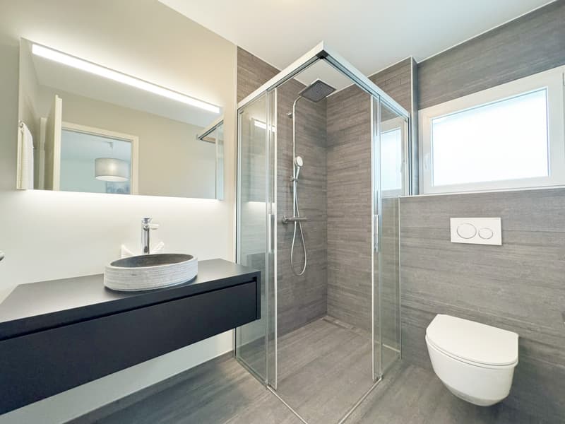 APARTMENT 4.5 ROOMS OF HIGH STANDARD - GLAZED TERRACE & PRIVILEGED LIVING ENVIRONMENT IN SAXON (6)