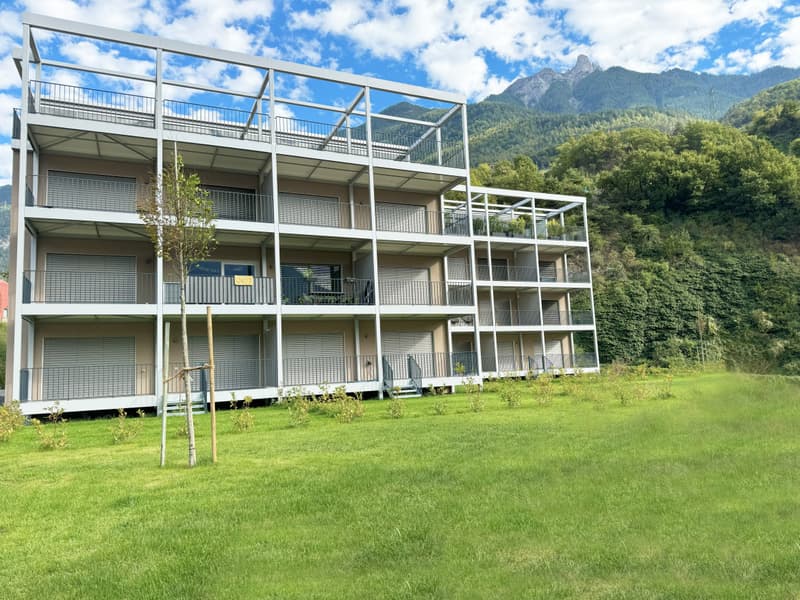APARTMENT 4.5 ROOMS OF HIGH STANDARD - GLAZED TERRACE & PRIVILEGED LIVING ENVIRONMENT IN SAXON (7)