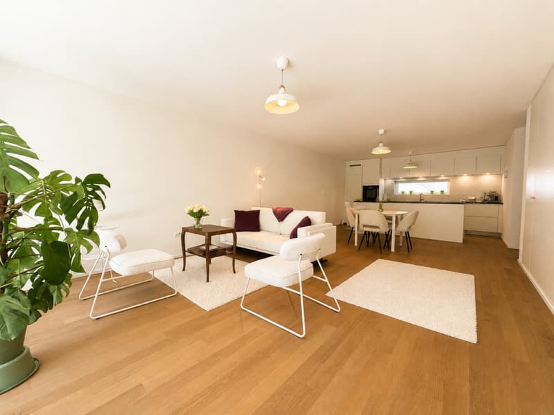 Exceptional Urban Villa in the Heart of Martigny - 3.5 Rooms with Garden and Convertible Basement (4)