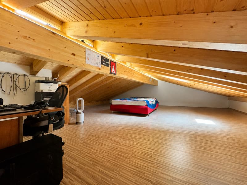 VILLA 6.5 PIÈCES AVEC GRAND JARDIN ET VUE DÉGAGÉE (8)