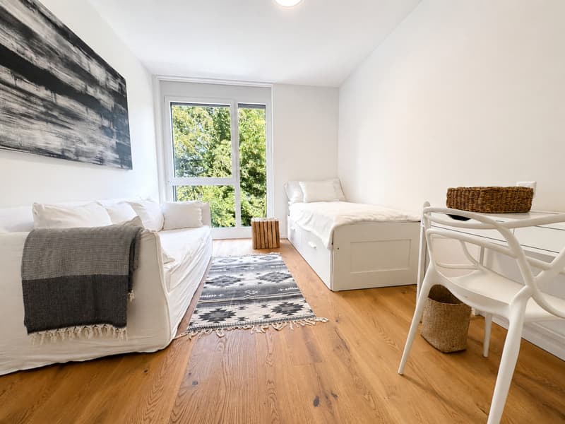 LOCATION AU MOIS - APPARTEMENT MEUBLÉ AVEC VUE PANORAMIQUE SUR LE LAC (7)