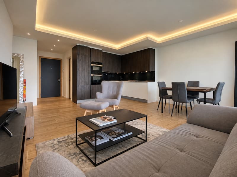 APPARTEMENT AVEC VUE PANORAMIQUE SUR LE LÉMAN - VENDU MEUBLÉ (4)
