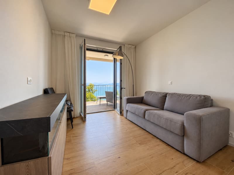 APPARTEMENT AVEC VUE PANORAMIQUE SUR LE LÉMAN - VENDU MEUBLÉ (6)