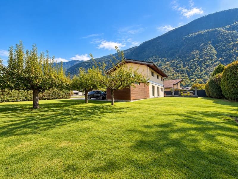 VILLA INDIVIDUELLE PARFAITEMENT ENTRETENUE AVEC GRAND JARDIN (3)