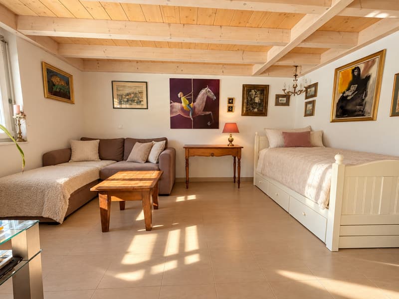 MAGNIFIQUE ATTIQUE DE 2.5 PIÈCES AVEC MEZZANINE ET GRAND BALCON À CHAMPLAN (6)