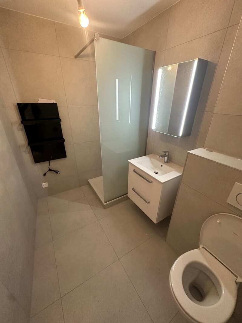 In affitto 3.5 locali 1110 Morges (6)
