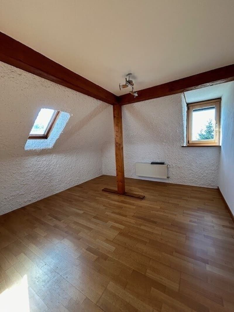IN AFFITTO VILLA LAUSANNE (4)