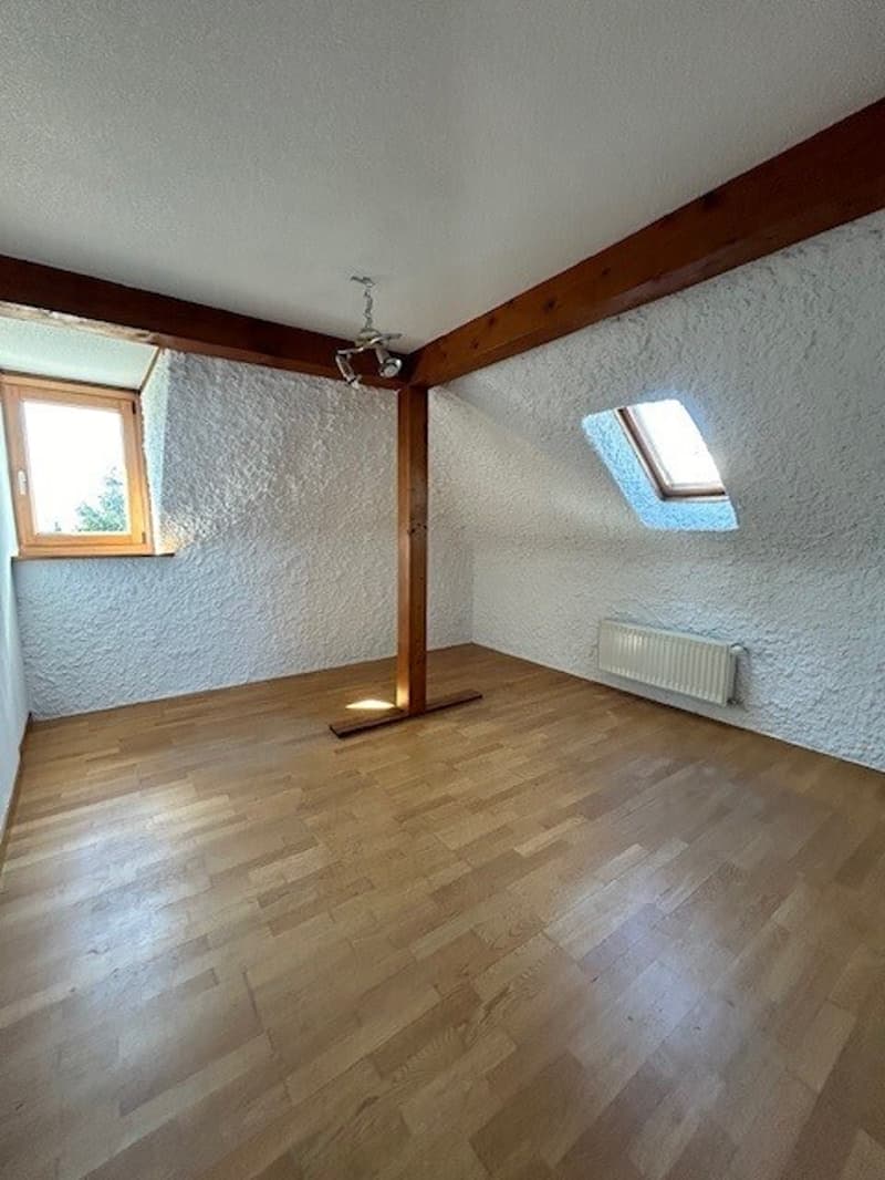 IN AFFITTO VILLA LAUSANNE (3)