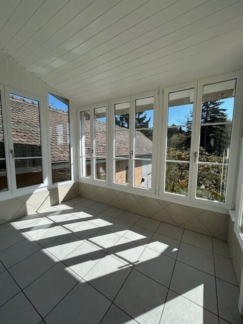 IN AFFITTO VILLA LAUSANNE (7)
