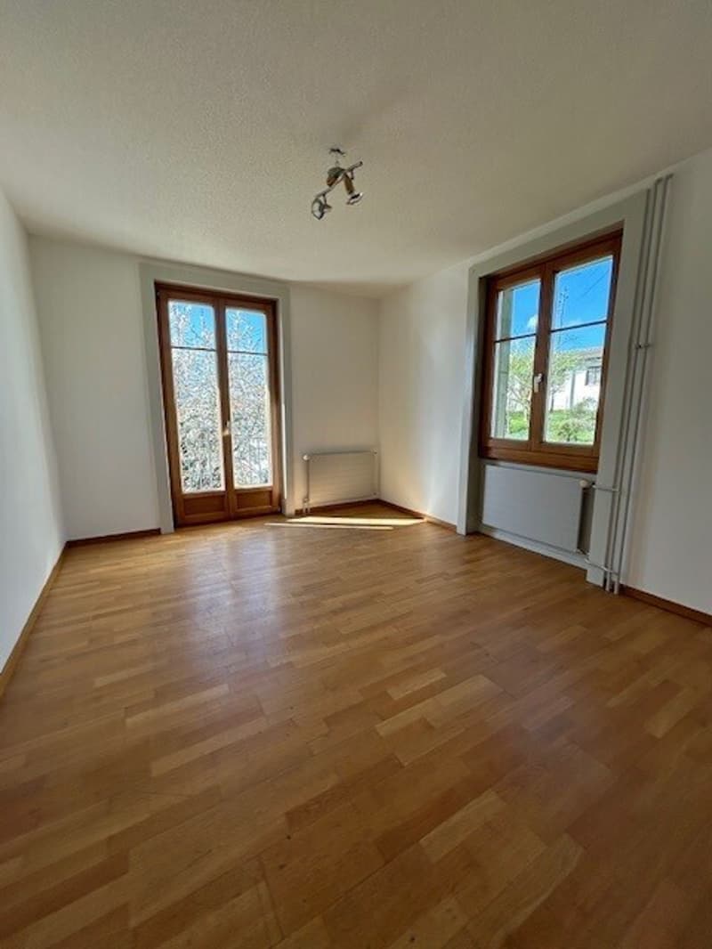 IN AFFITTO VILLA LAUSANNE (2)