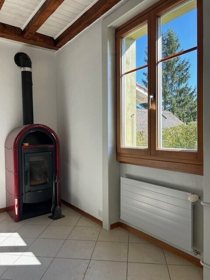 IN AFFITTO VILLA LAUSANNE (6)