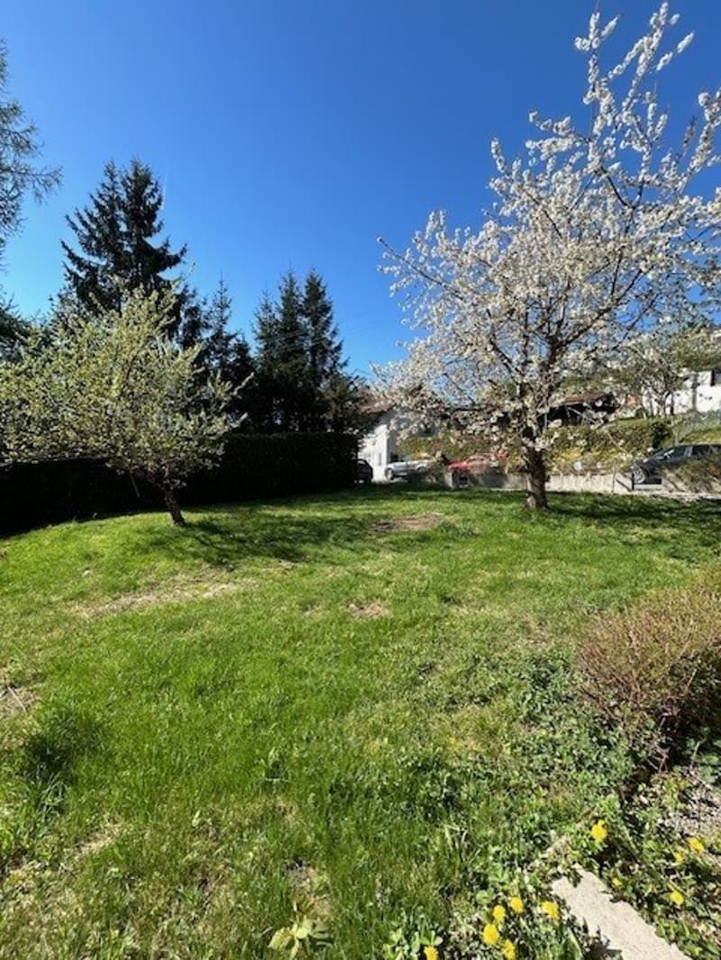 IN AFFITTO VILLA LAUSANNE (8)