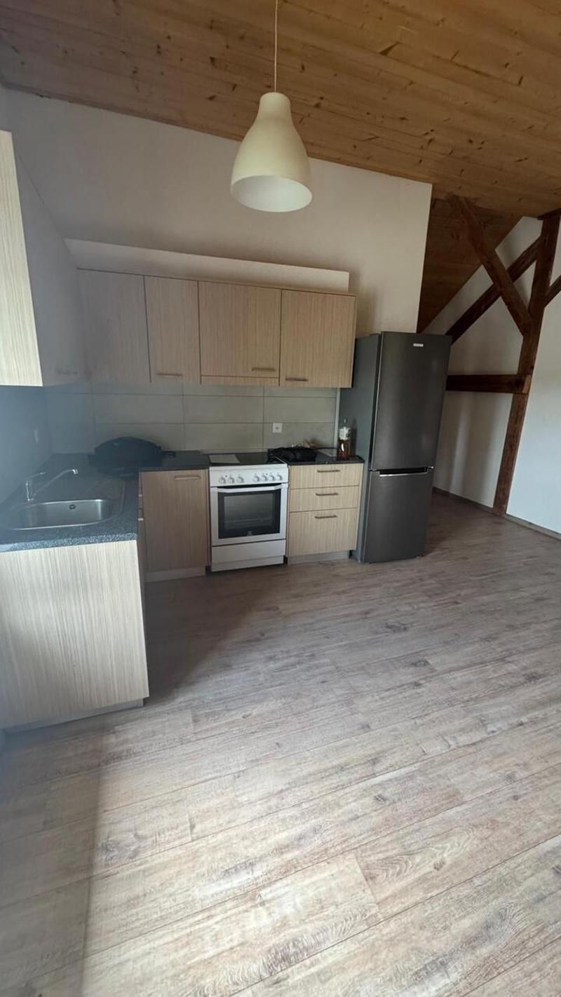 FOR RENT 2.5 ROOMS ROMONT FRIBURG (5)