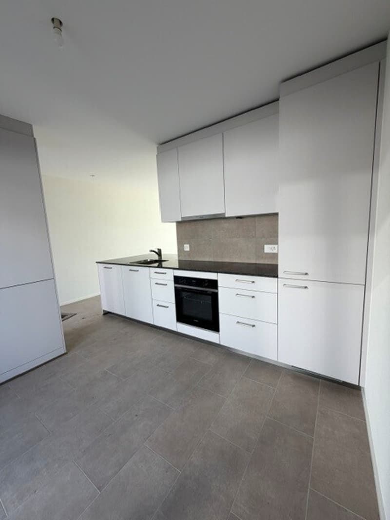 A LOUER 3.5 PIECES AVEC JARDIN/TERRASSE BUSSIGNY (4)