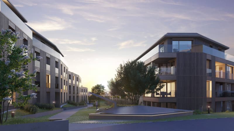 APPARTEMENT 4.5 PCES ECHALLENS (1)