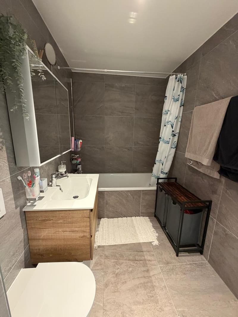 APPARTEMENT 4.5 PCES ECHALLENS (6)