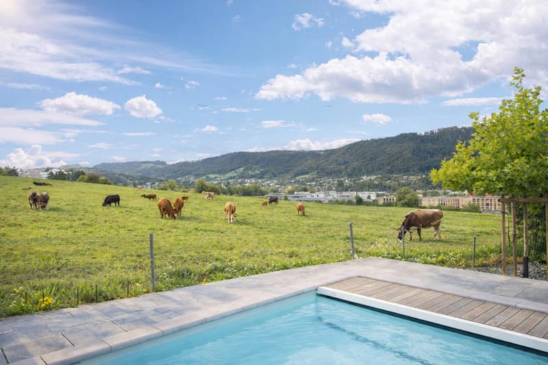 Casa di 5½ locali con piscina e vista panoramica (4)