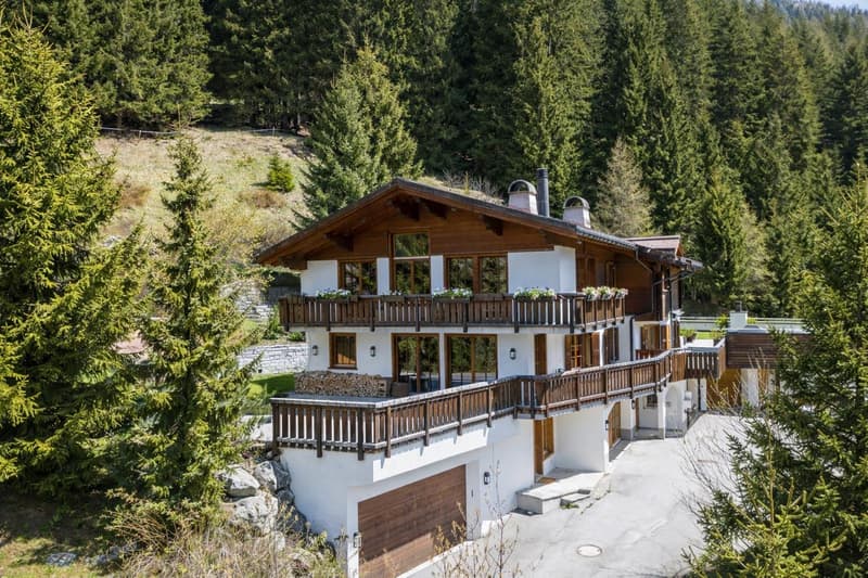 Grün, idyllische Hanglange direkt am Waldrand.