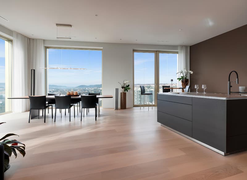 Appartement penthouse exclusif de 4½ pièces dans la tour Mobimo (2)
