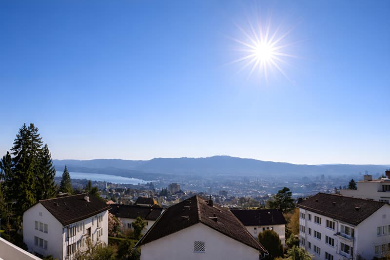 8-Room Attic Maisonette Apartment on Zürichberg (1)